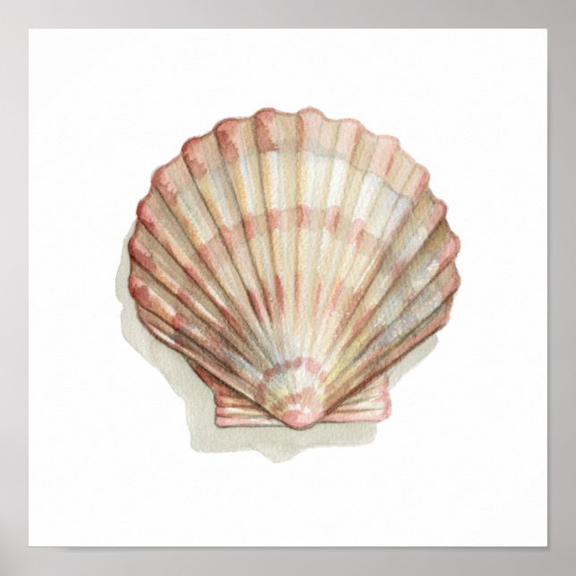 Póster Concha de mar rosa y crema (Frente)
