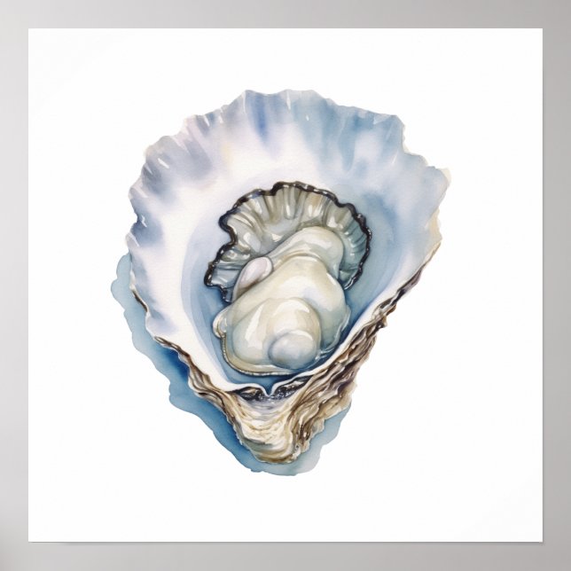 Póster Concha de ostra acuarela (Frente)