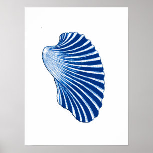 Póster Concha de peregrino Shell, azules añiles y blanco