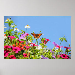Póster concha de tortuga sobre flores de petunia con ciel