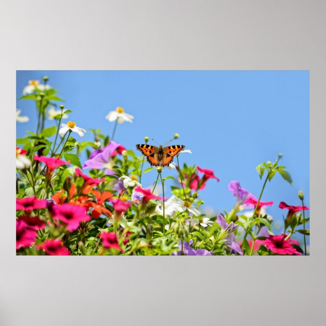 Póster concha de tortuga sobre flores de petunia con ciel (Frente)