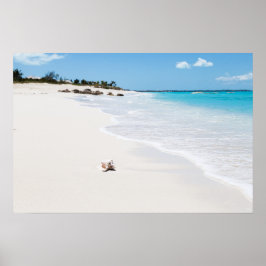Póster concha en la playa