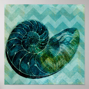 Póster Concha espiral turquesa