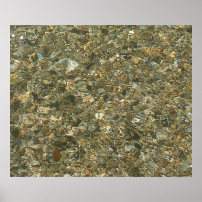 Póster Conchas bajo el agua rizada (Frente)