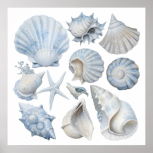 Póster Conchas de Acuarela Azul y Blanco – Guardería del 