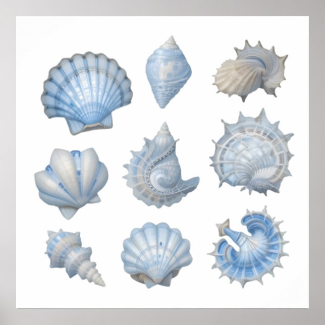 Póster Conchas de Acuarela Azul y Blanco – Guardería del  (Frente)