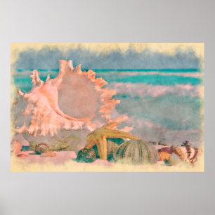 Póster Conchas de agua marina en cartel grande de playa
