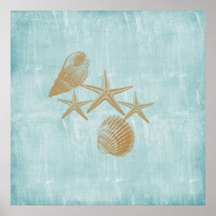 Póster conchas de playa