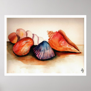 Póster Conchas De Verano