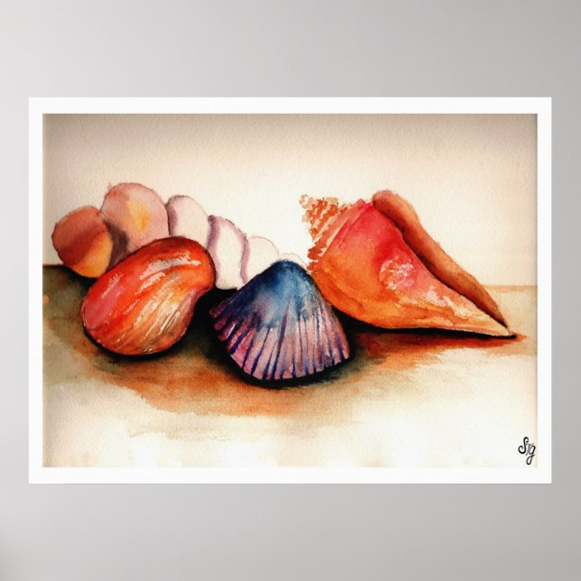 Póster Conchas De Verano (Frente)