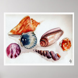 Póster conchas marinas de verano