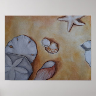 Póster conchas marinas en el Poster de la costa