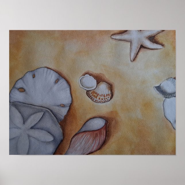 Póster conchas marinas en el Poster de la costa (Frente)