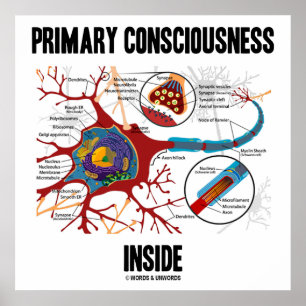 Póster Conciencia Primaria Interior (Neurona/Sinapsis)
