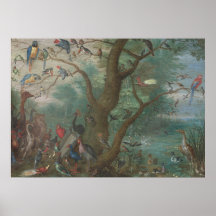 Concierto de aves - Jan van Kessel Bella Artes Pos