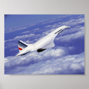 Póster Concordia de crucero