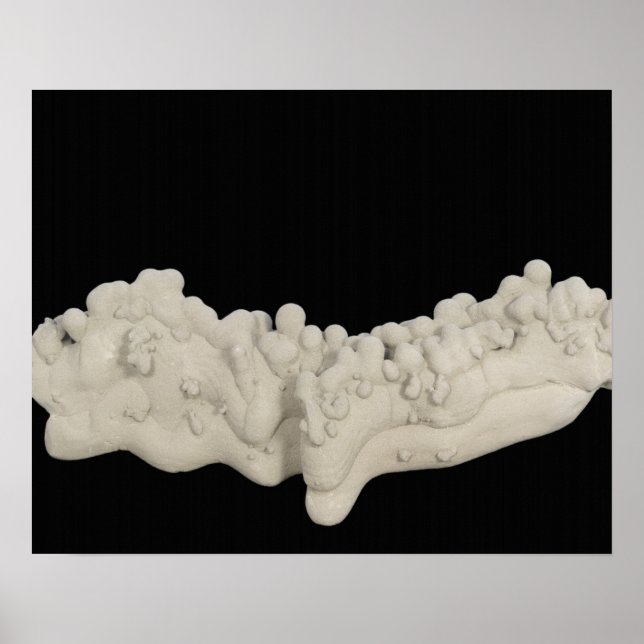 Póster Concreción de arcilla (Frente)