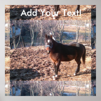 Póster Condado de Brown Farm Horse Raleigh