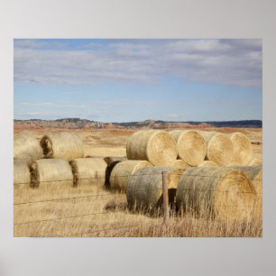 Póster Condado de Crook, Hay Bales