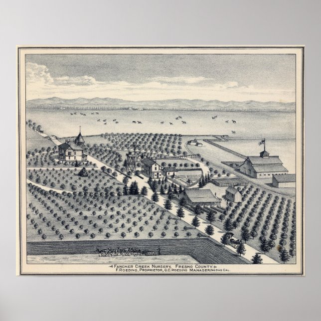 Póster Condado de Fresno, California 20 (Frente)