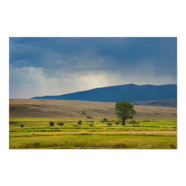 Póster Condado de Granite Montana (Anverso)