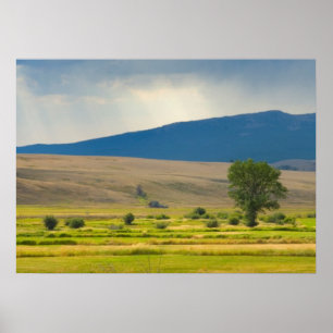 Póster Condado de Granite Montana