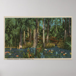 Póster Condado de Highlands, FL - Vista de la Hammock de 