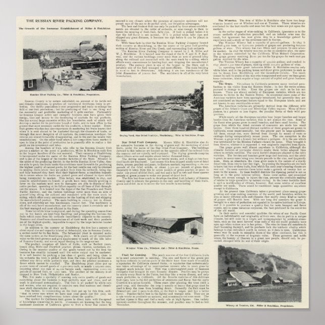 Póster Condado de Sonoma, California (Frente)