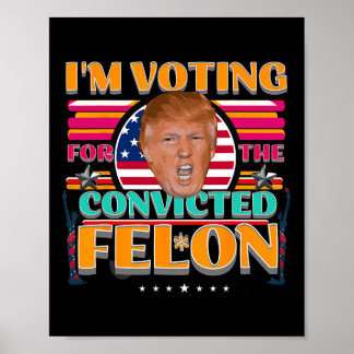 Póster Condenan a Trump por votar en las elecciones norte