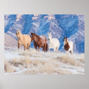 Póster Conducción de caballos vaqueros en el rancho Hideo