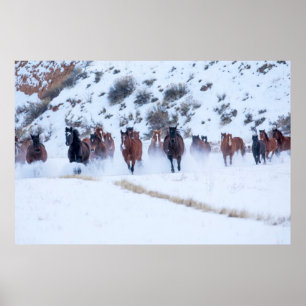 Póster Conducción de caballos vaqueros Rancho Hideout,