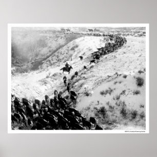 Póster Conducción de ganado en el invierno