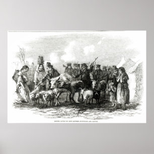 Póster Conducción del ganado para el alquiler