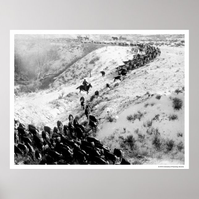 Póster Conduciendo ganado en invierno. (Frente)