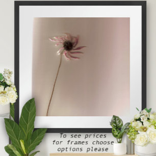 Póster ConeFlower