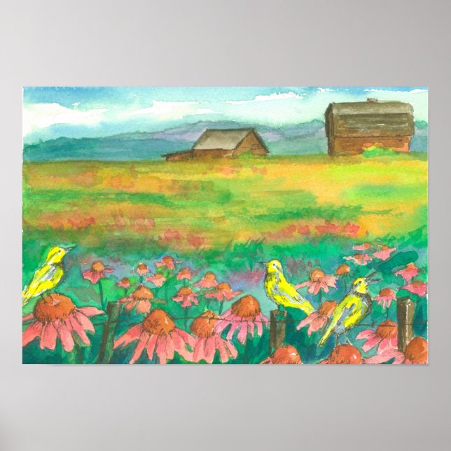 Póster Coneflower Field Meadowlarks On Fence (Frente)