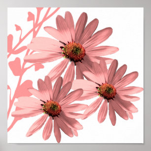 Póster ConeFlowers