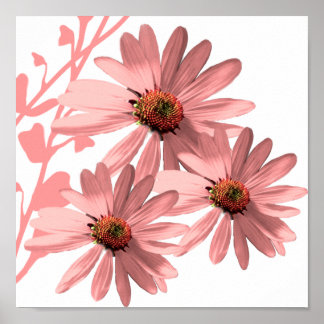 Póster ConeFlowers