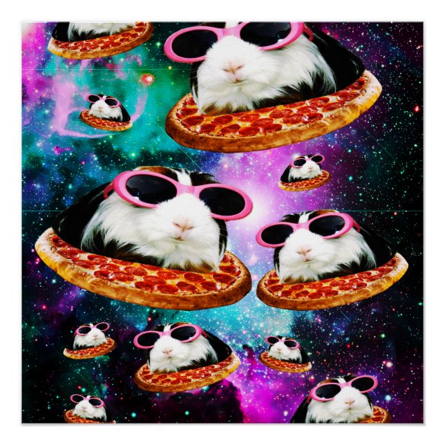 Póster Conejillo de indias de espacio divertido (Anverso)