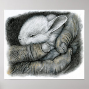 PÓSTER CONEJITO DEL BEBÉ