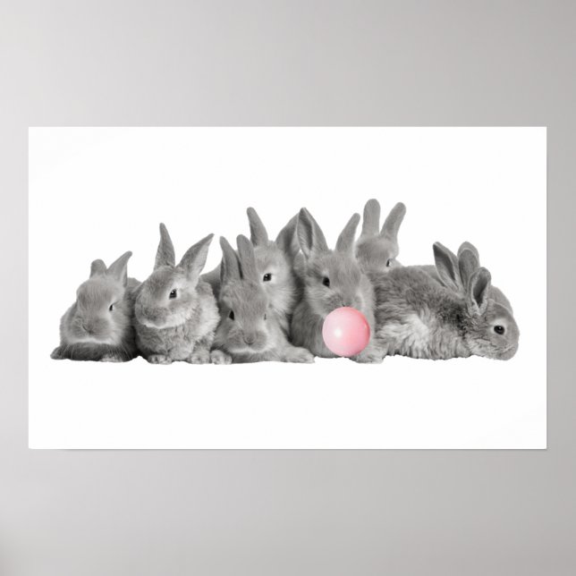 Póster Conejitos Lindos Burbujas de Chicle para el Cuarto (Frente)