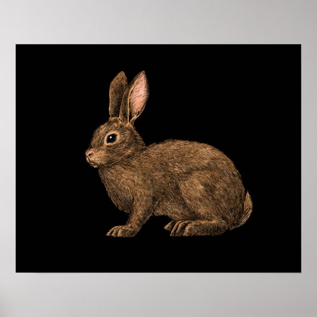 Póster Conejo 2 (Frente)