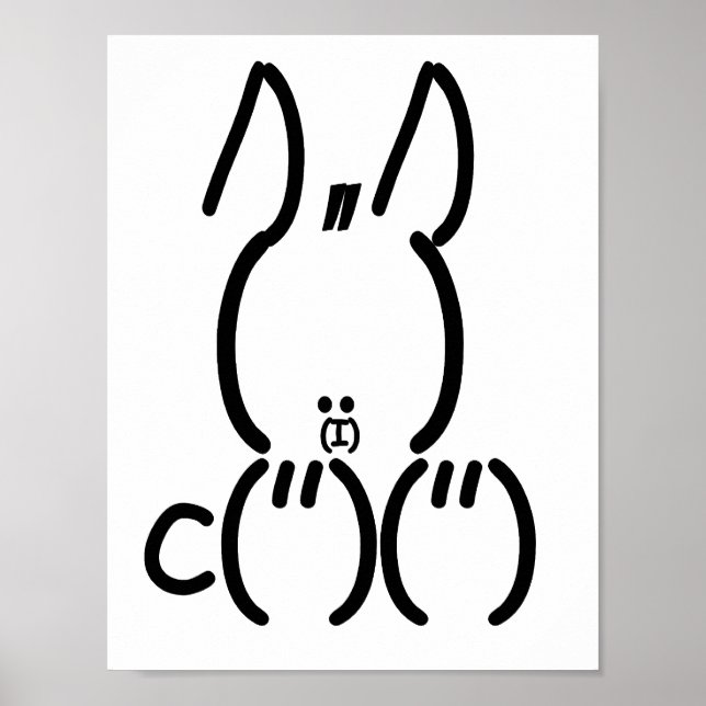 Póster Conejo ASCII (Frente)