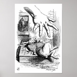 Póster Conejo blanco