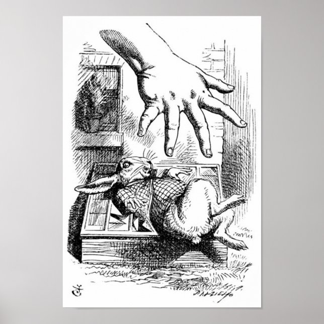 Póster Conejo blanco (Frente)