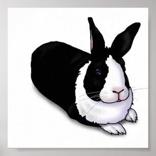 Póster Conejo blanco y negro