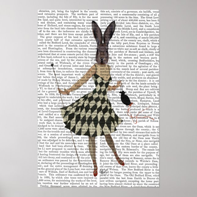 Póster Conejo con vestido blanco negro (Frente)
