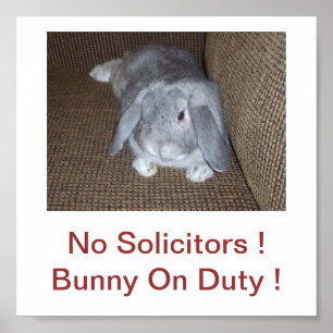 Póster Conejo conejo conejo conejo sin abogados Rótulo