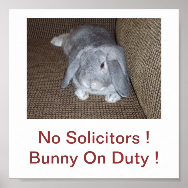 Póster Conejo conejo conejo conejo sin abogados Rótulo (Frente)
