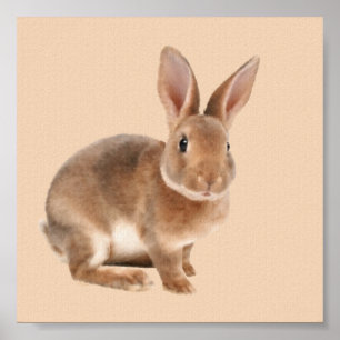 Póster Conejo de Rex